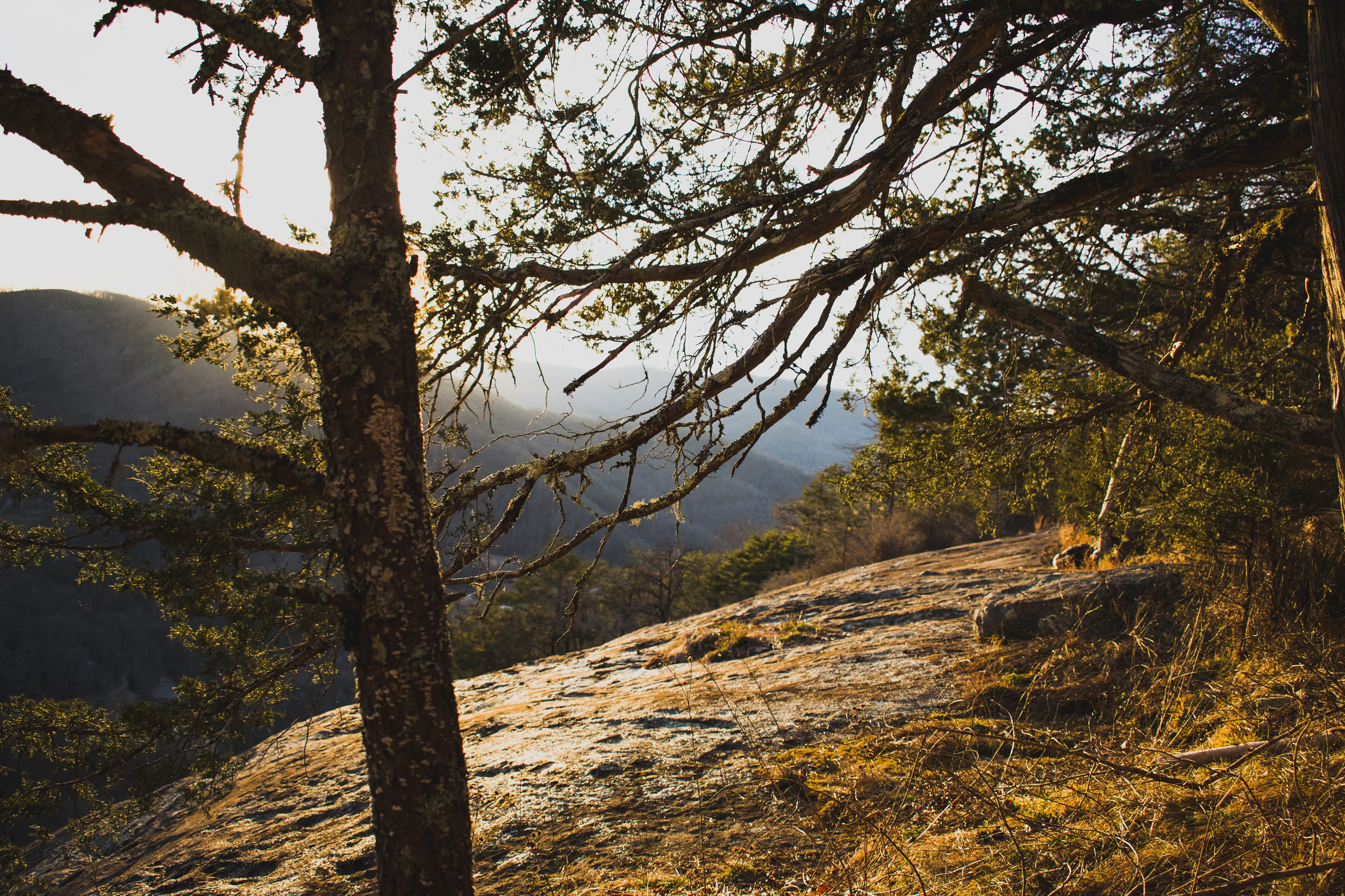 Hike to Cedar Cliff Rock