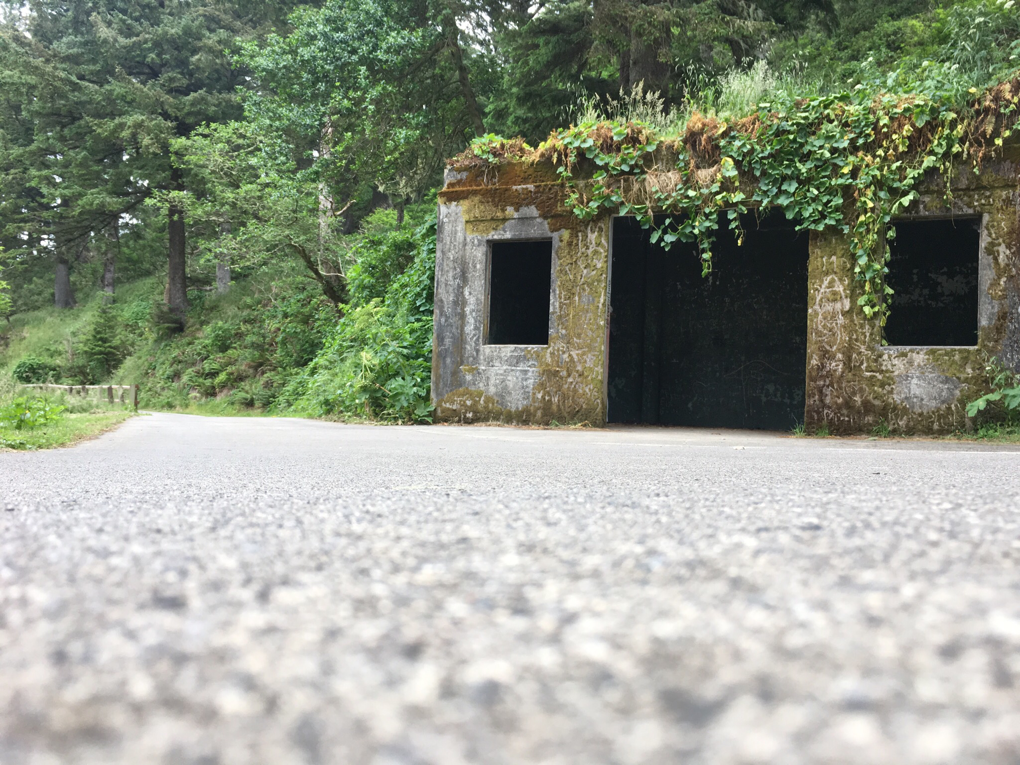 Cape Disappointment Trail