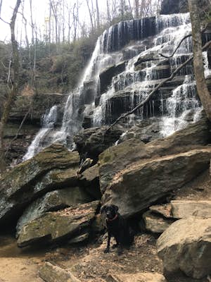 Hike to Yellow Branch Falls
