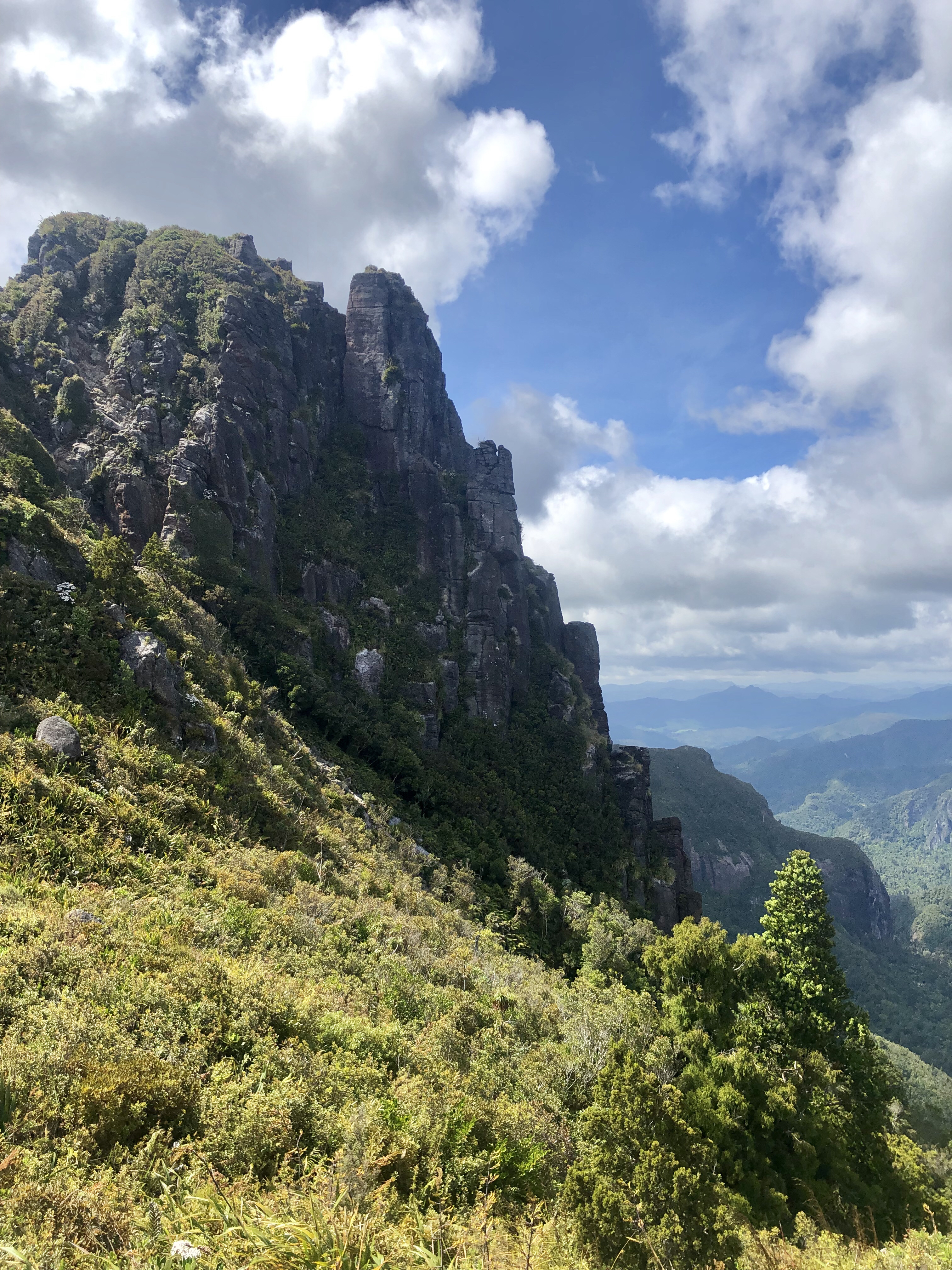 Hike the Kauaeranga Kauri Trail (Pinnacles Track)
