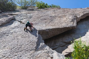 Climb Hanging Garden's on Gardner's Wall