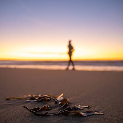 Surf, Run, or Catch a Sunset at Marina State Beach