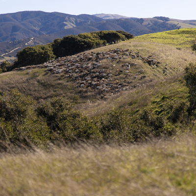 Mountain Bike at Fort Ord National Monument