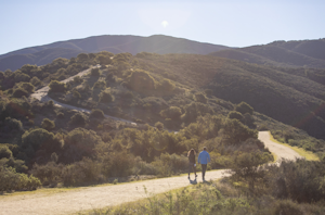 Hike or Trail Run around Toro Park