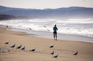 Surf, Run, or Catch a Sunset at Marina State Beach