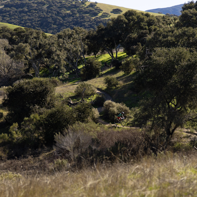 Mountain Bike at Fort Ord National Monument