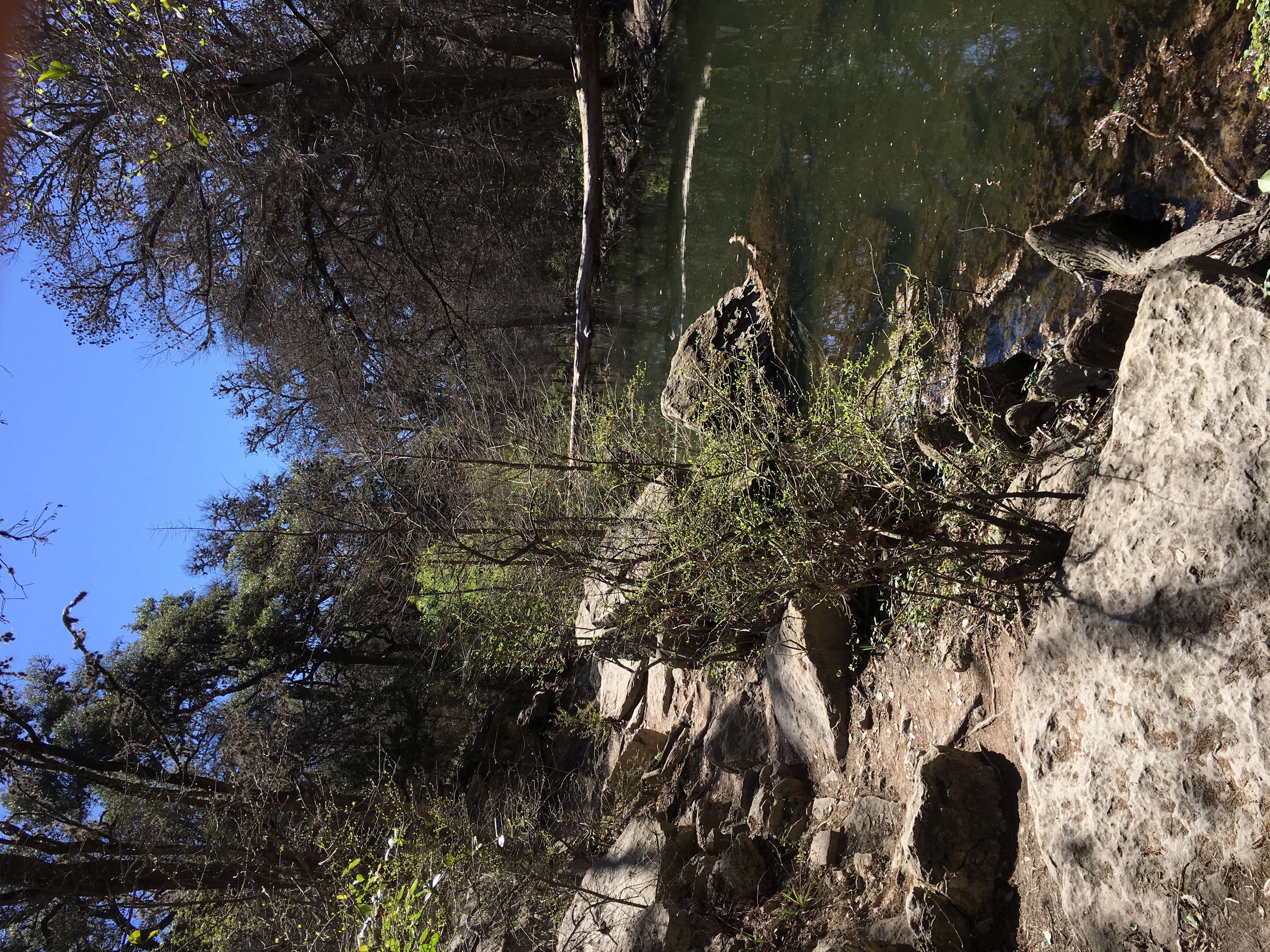 Hike the Prairie, Creekside, and Woodlands Trails