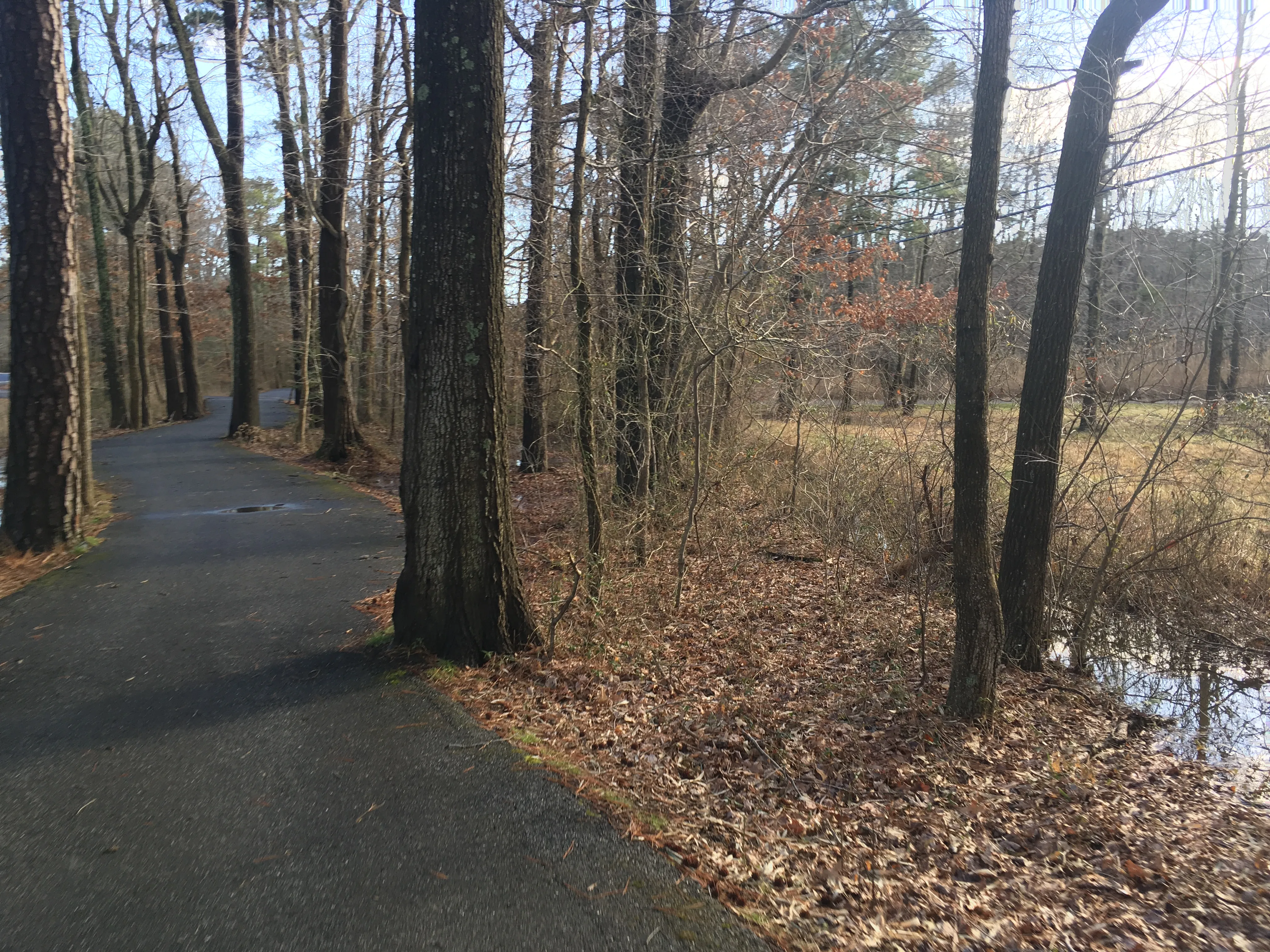 Bike or Run the Kent Island South Trail