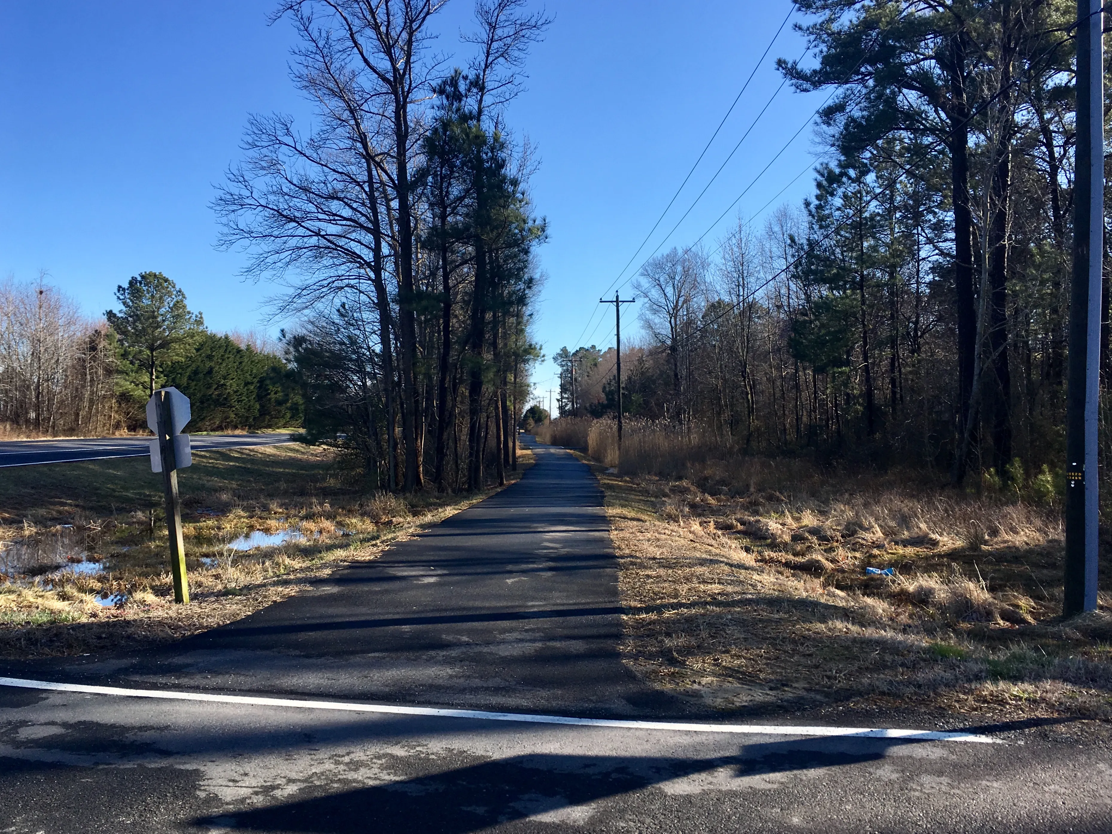 Bike or Run the Kent Island South Trail