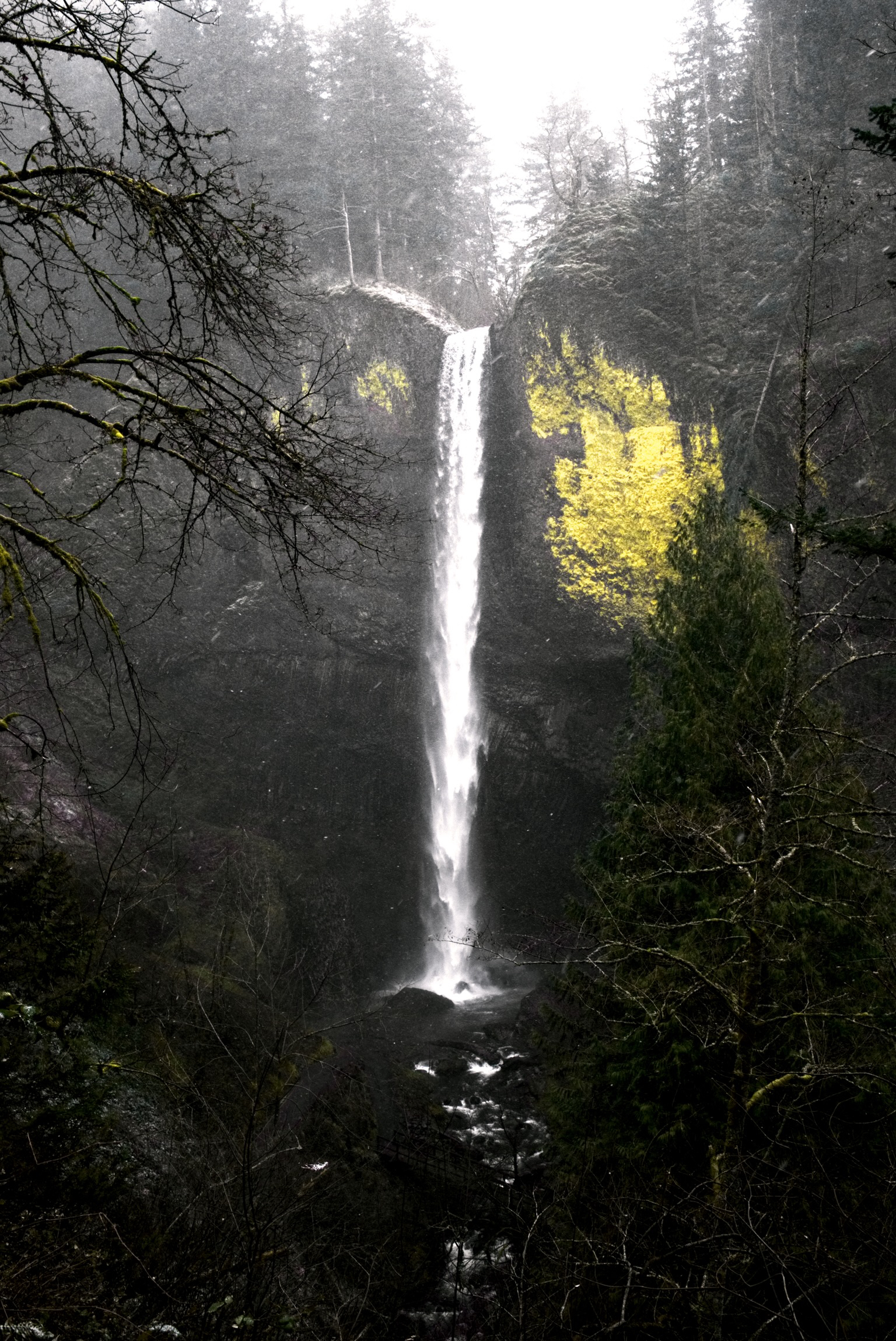 Latourell Falls Loop