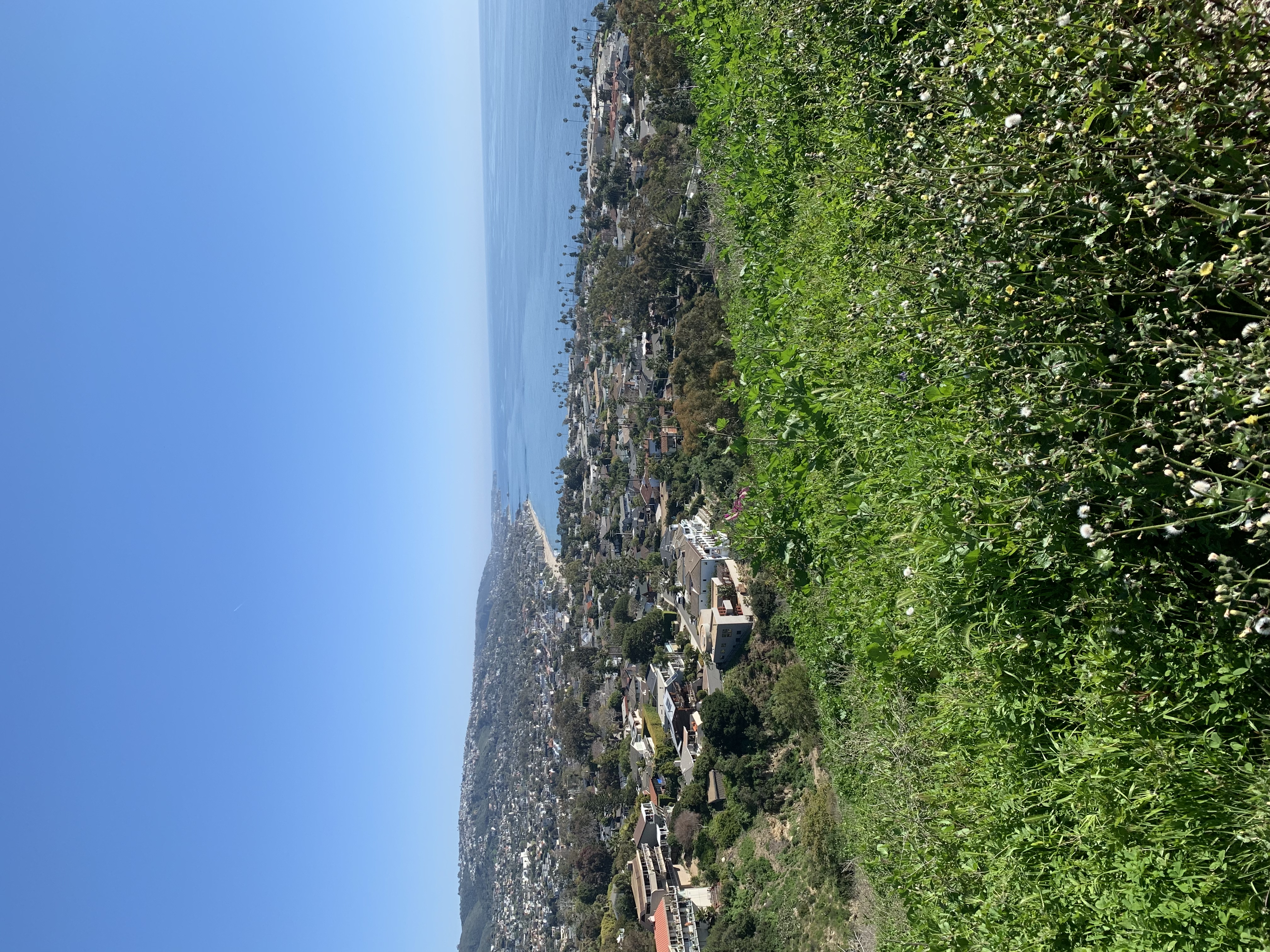 Trail Run the Boat Road and Laguna Ridge