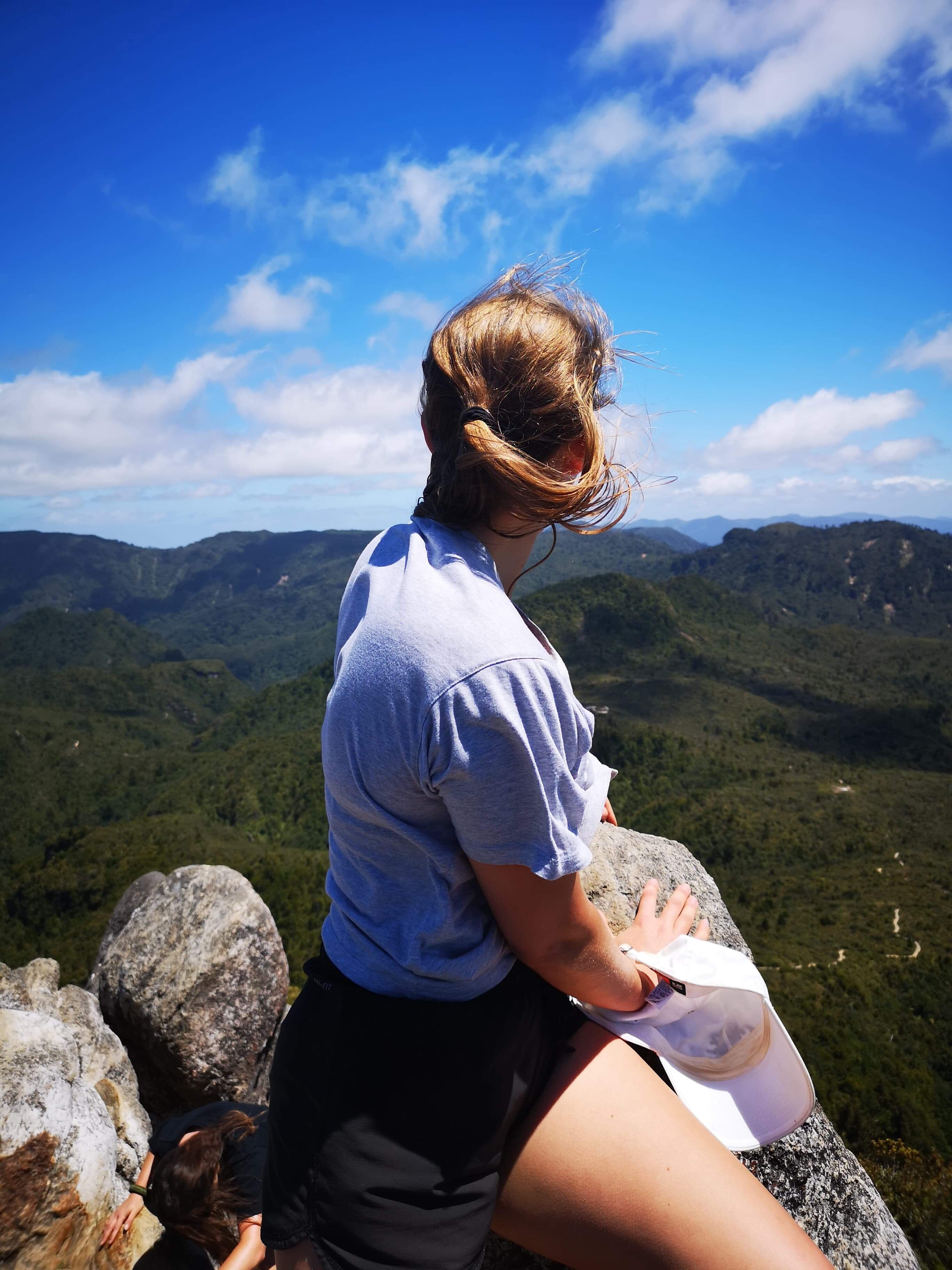Hike the Kauaeranga Kauri Trail (Pinnacles Track)
