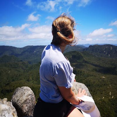 Hike the Kauaeranga Kauri Trail (Pinnacles Track)