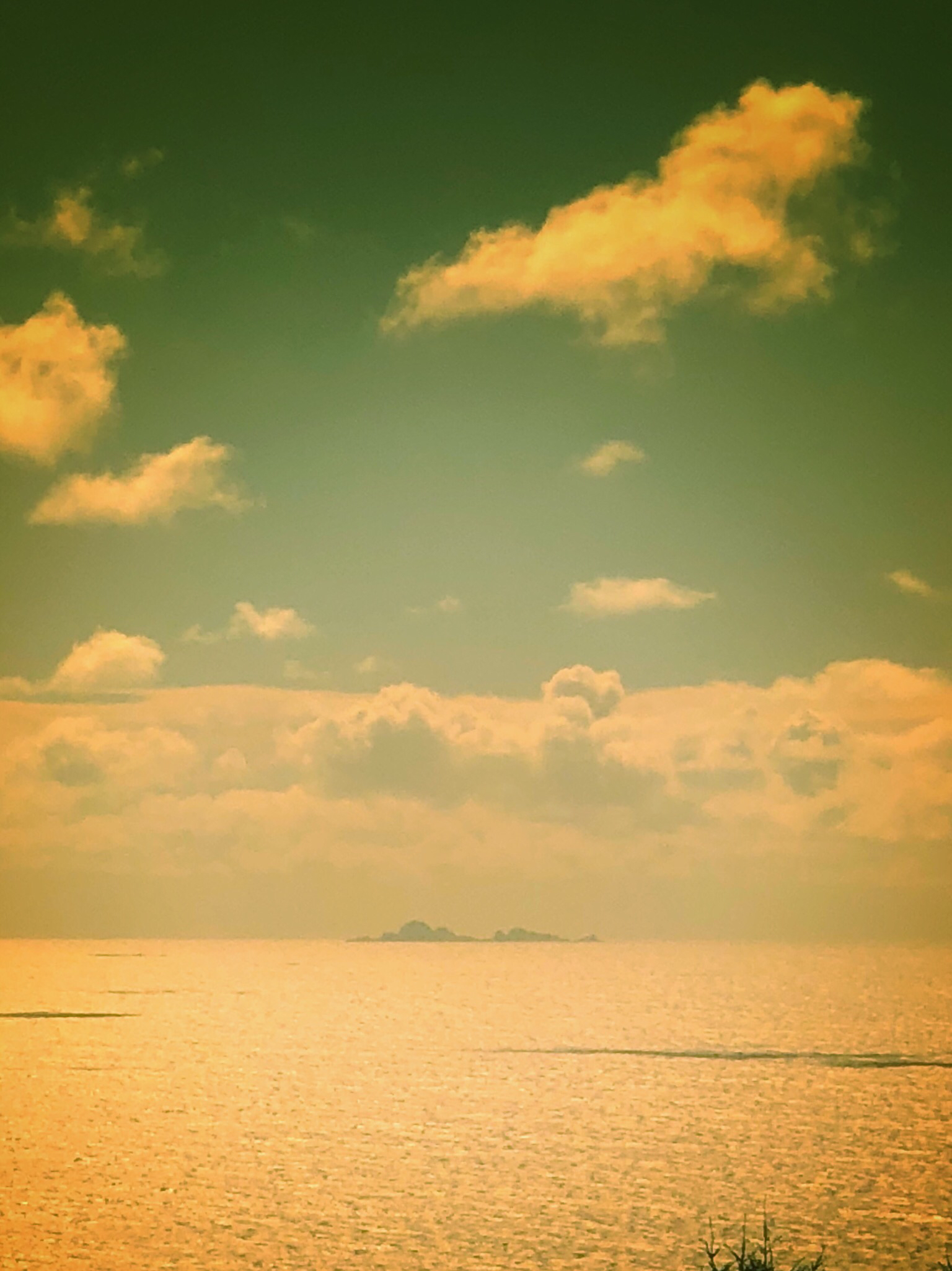 Alamere Falls via Palomarin Trailhead 