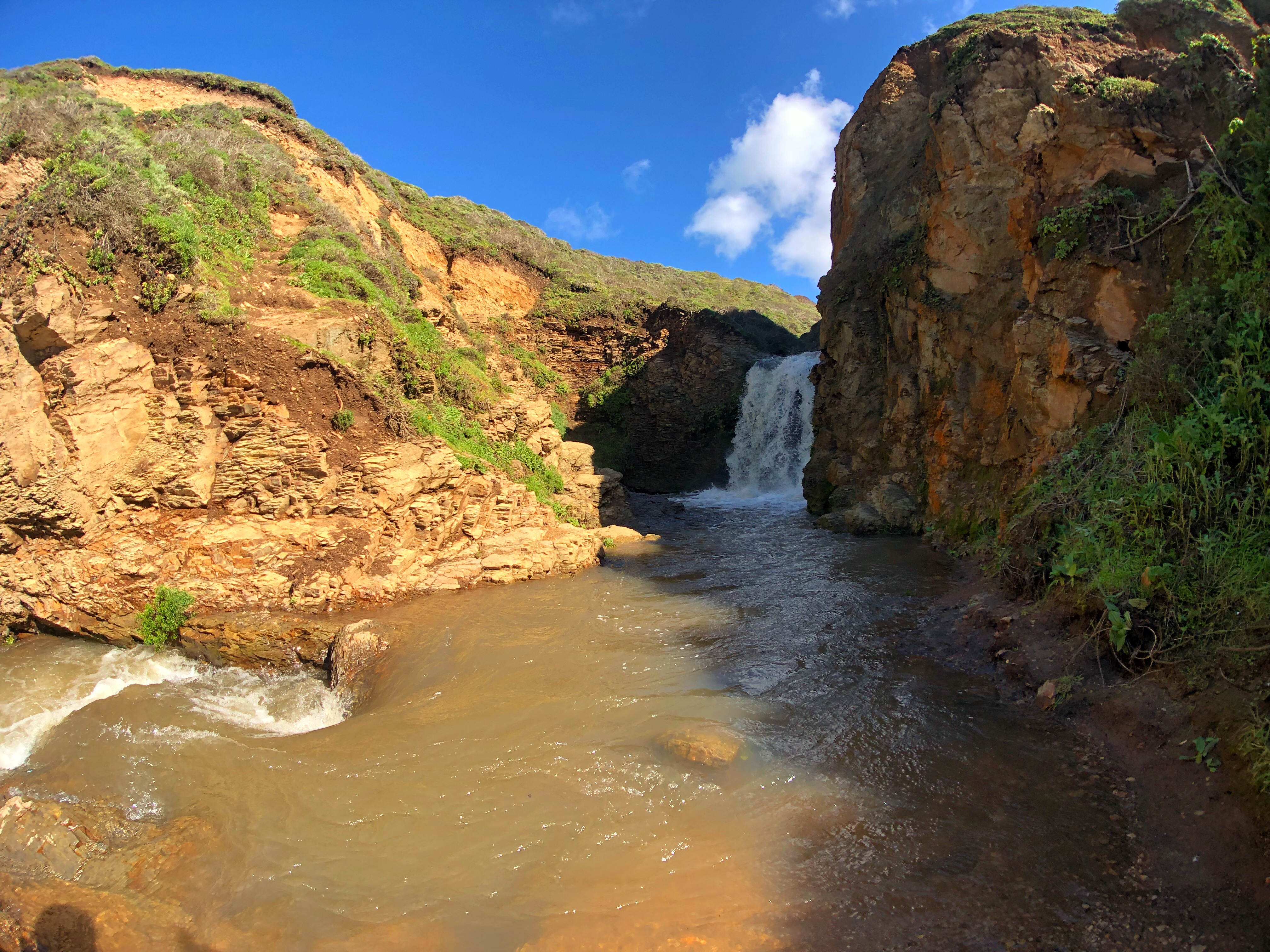 Alamere Falls via Palomarin Trailhead 