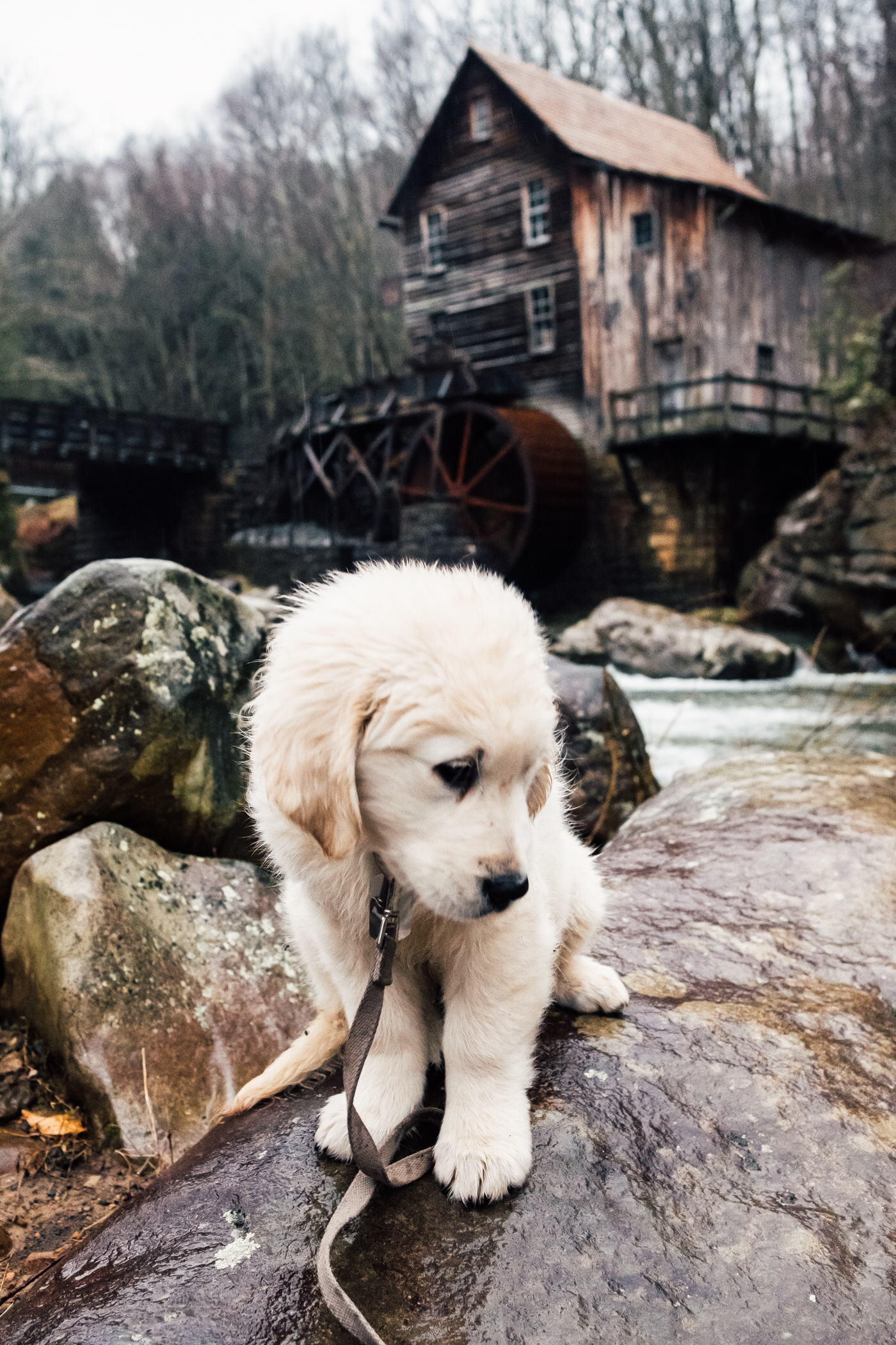 Glade Creek Grist Mill