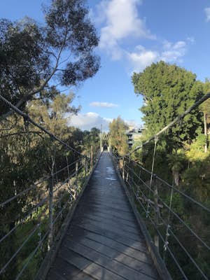 Seven Bridge Walk Loop