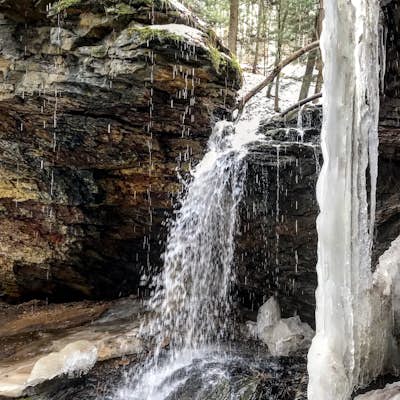Hike the Mineral Springs Loop