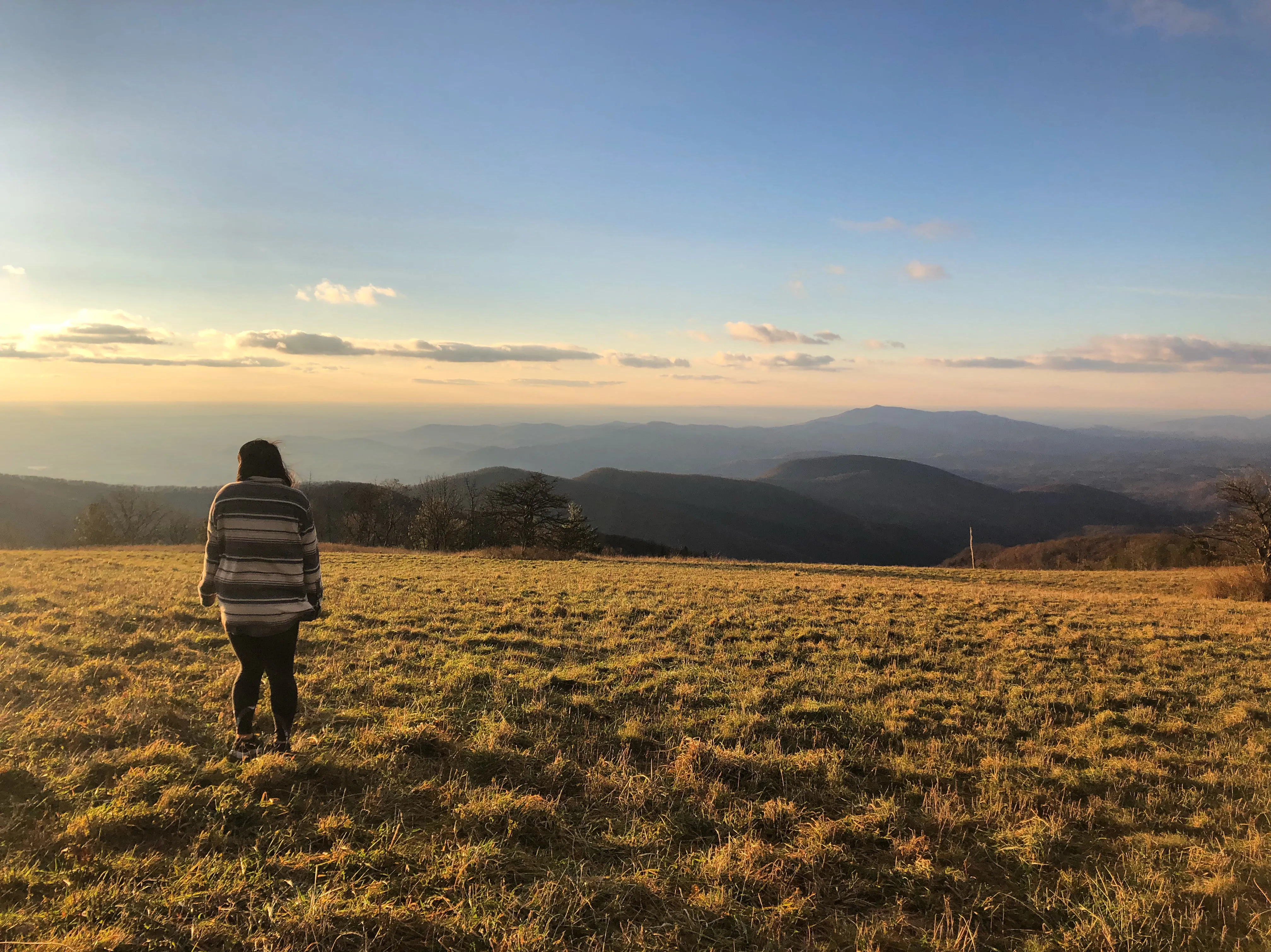Cole Mountain Loop