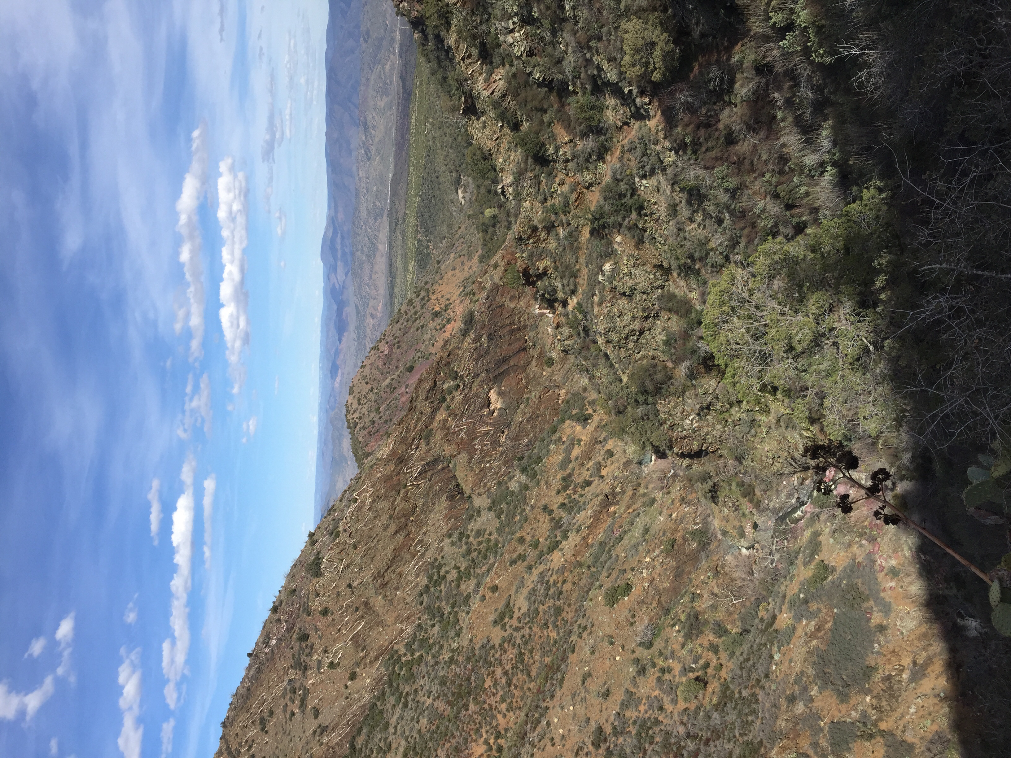 Hike Barnhardt Trail 