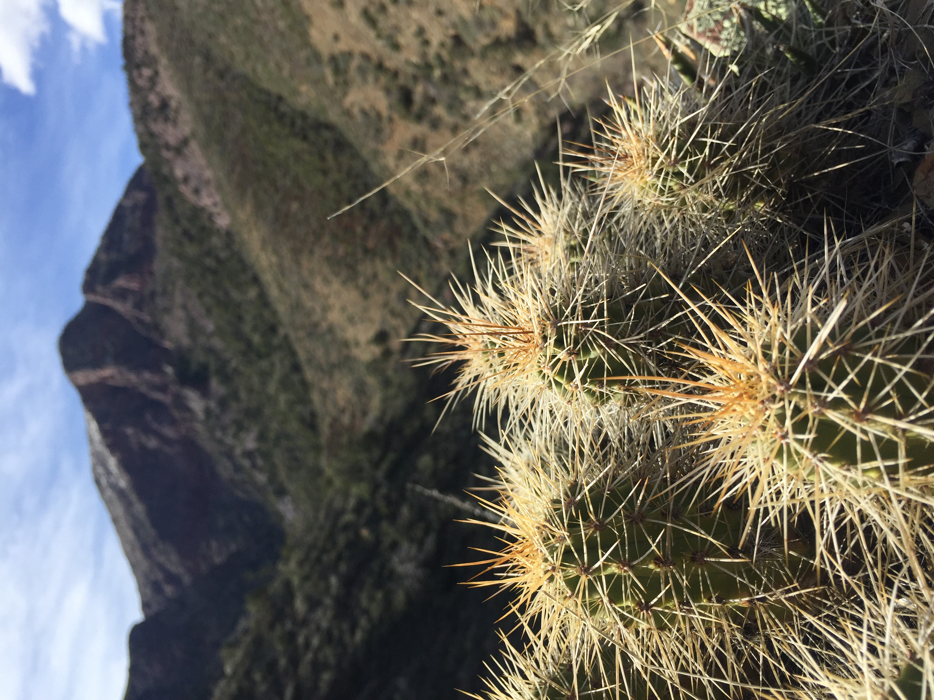 Hike Barnhardt Trail 