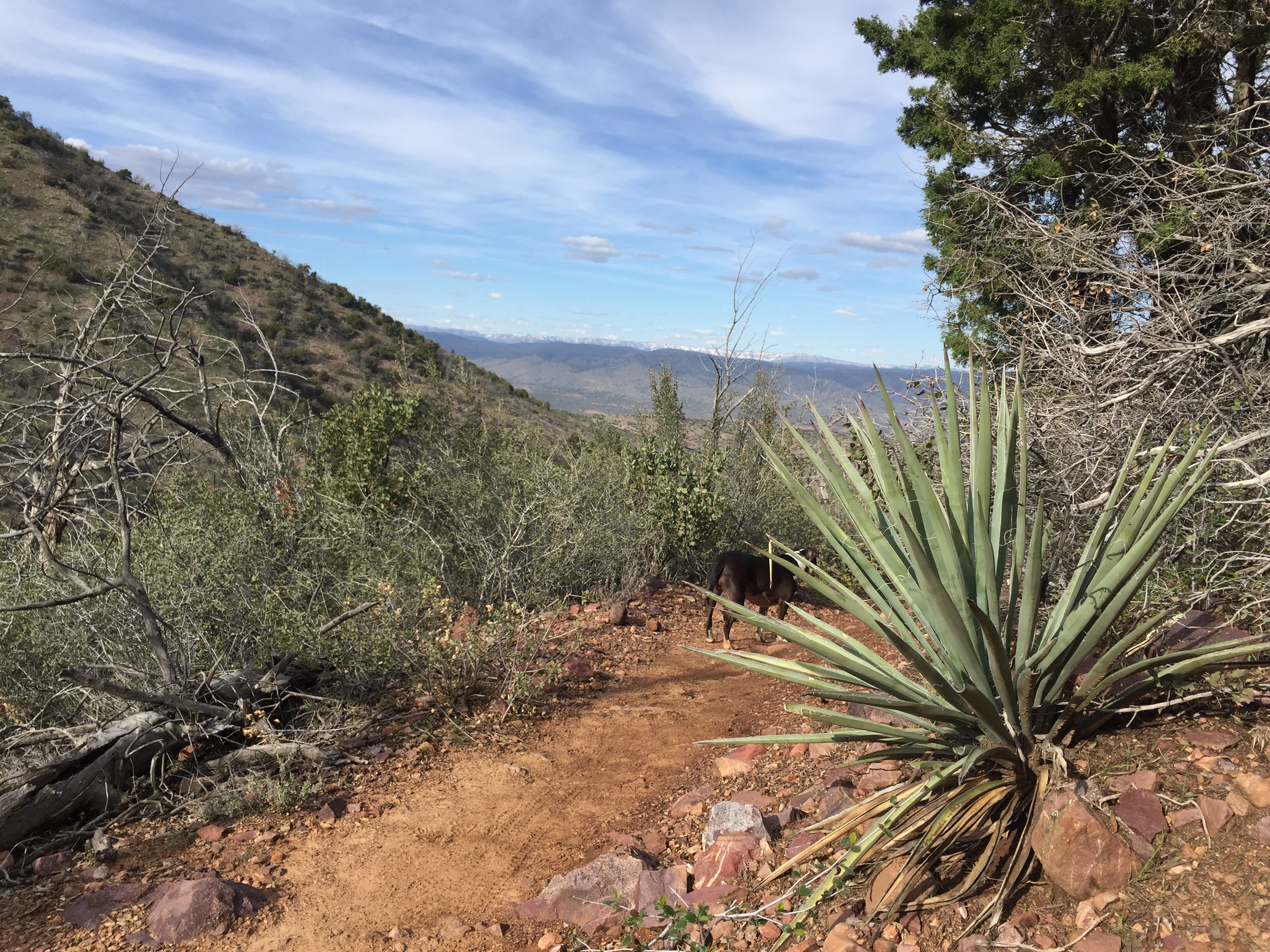 Hike Barnhardt Trail 