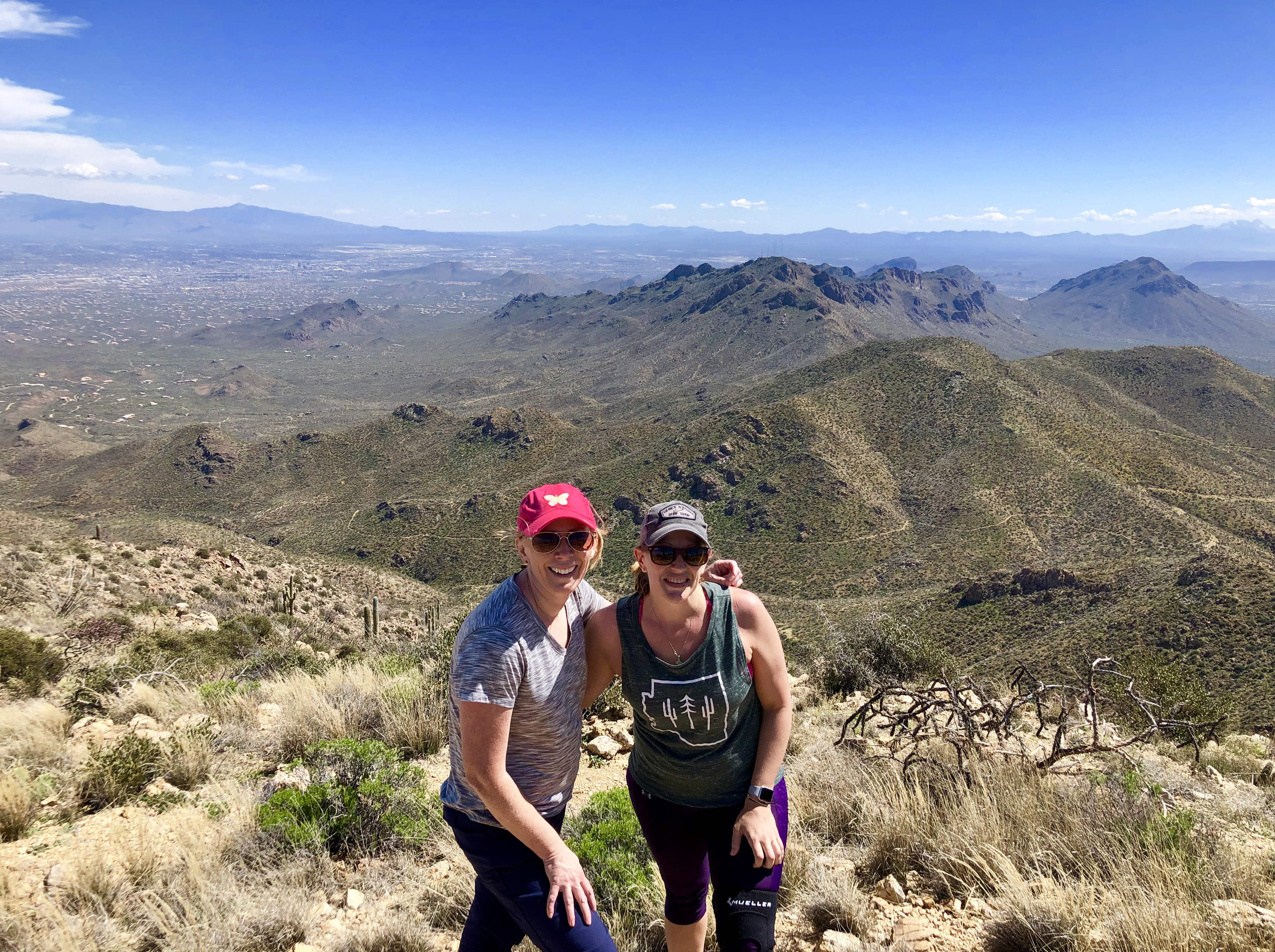 Wasson Peak