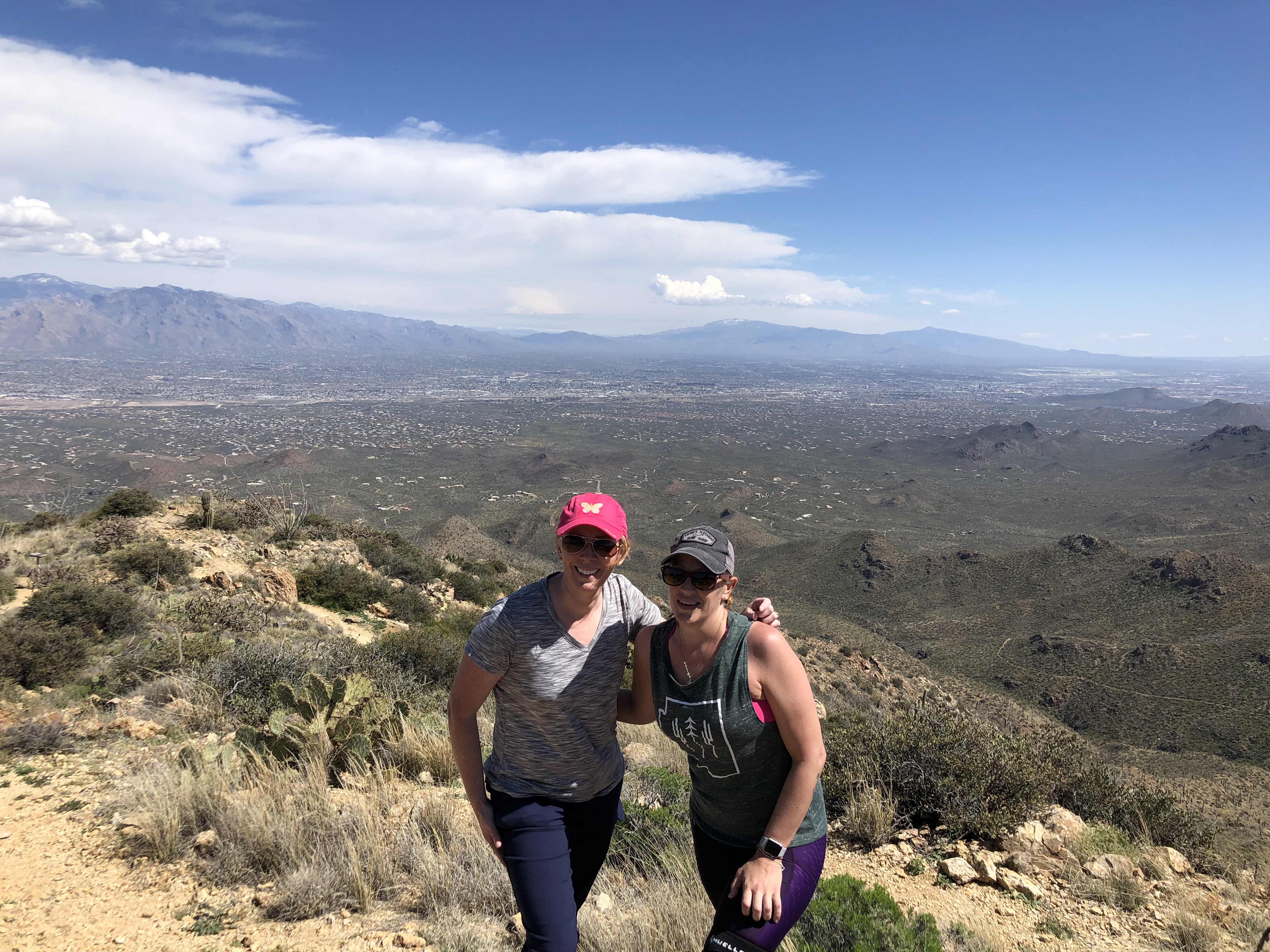 Wasson Peak