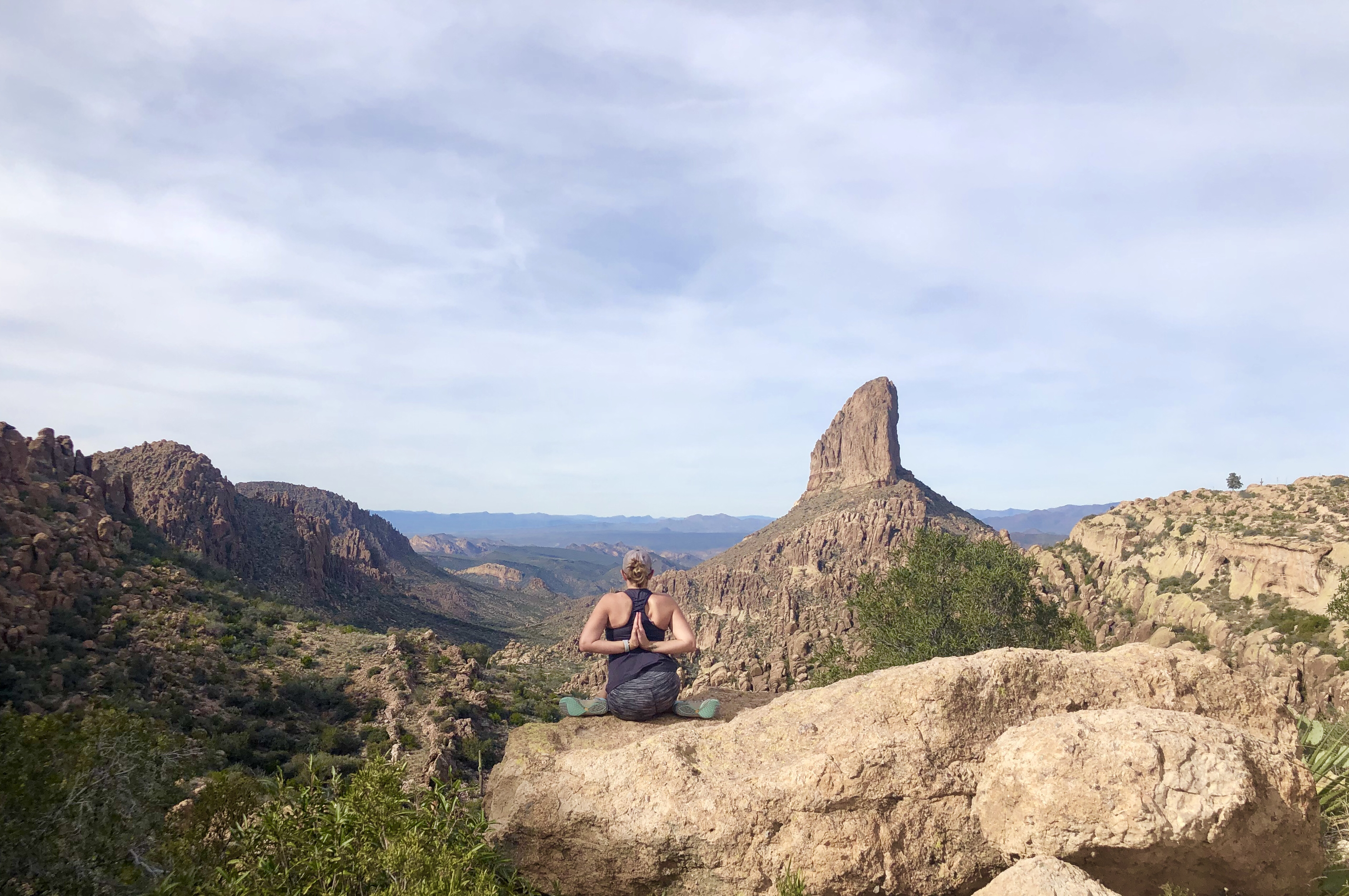 Weavers Needle