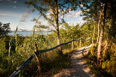 Mountain Bike or Kayak at the Virginia Key North Point Trails