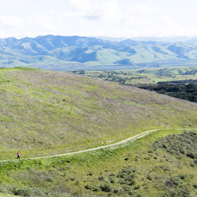 Trail Run, Hike, or Mountain Bike Los Flores Ranch Park