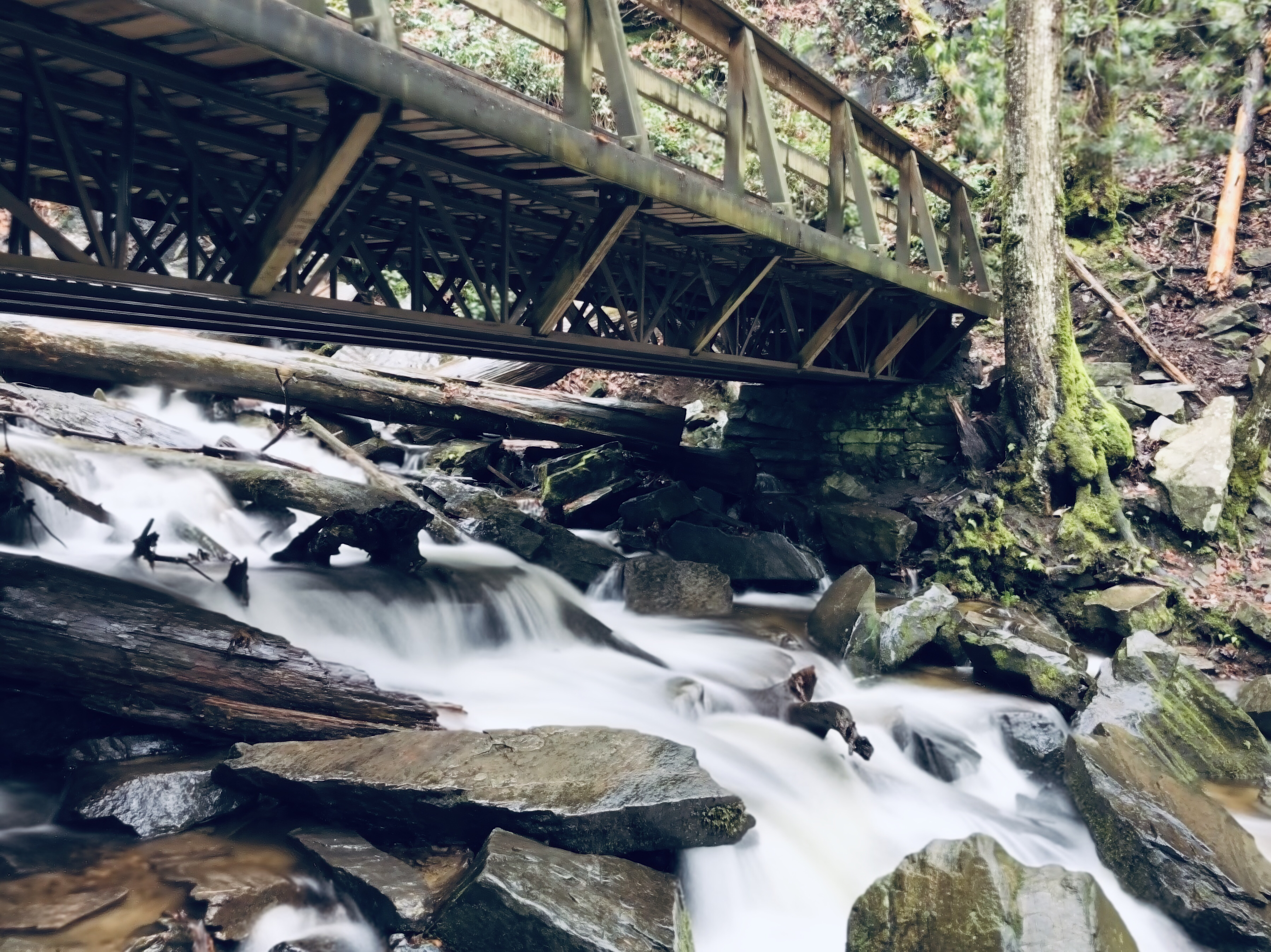 Mingo Falls