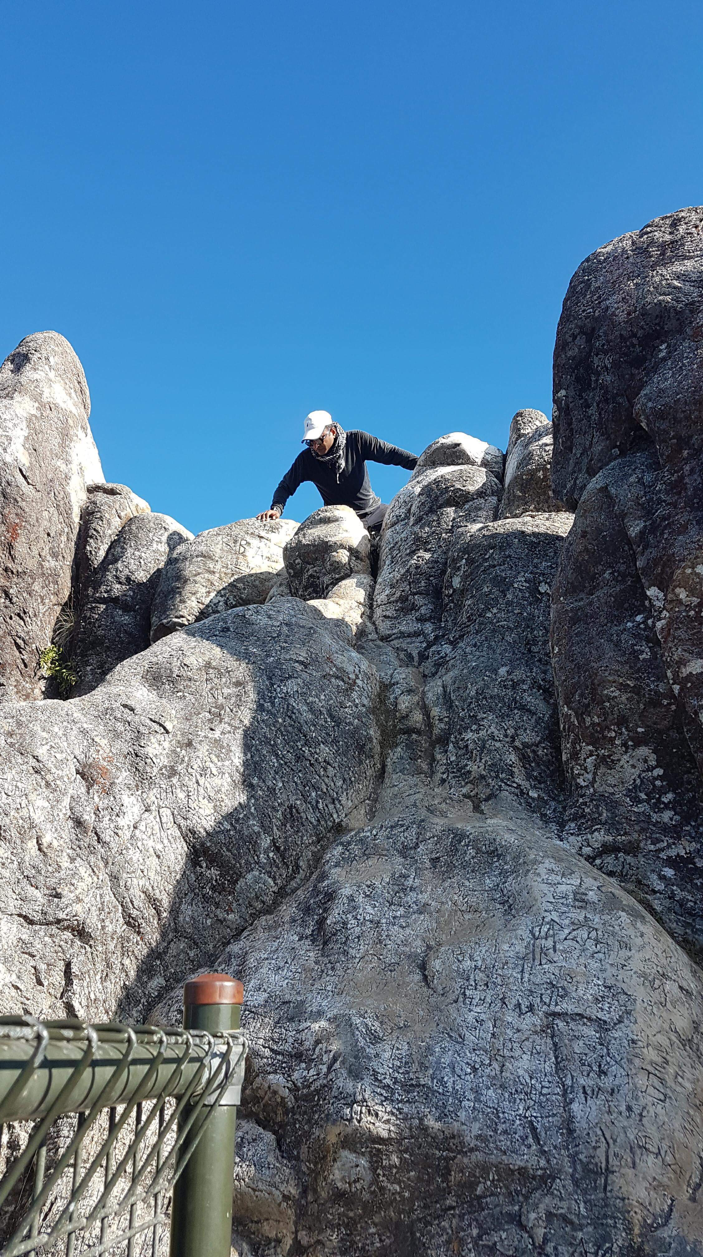 Hike the Kauaeranga Kauri Trail (Pinnacles Track)