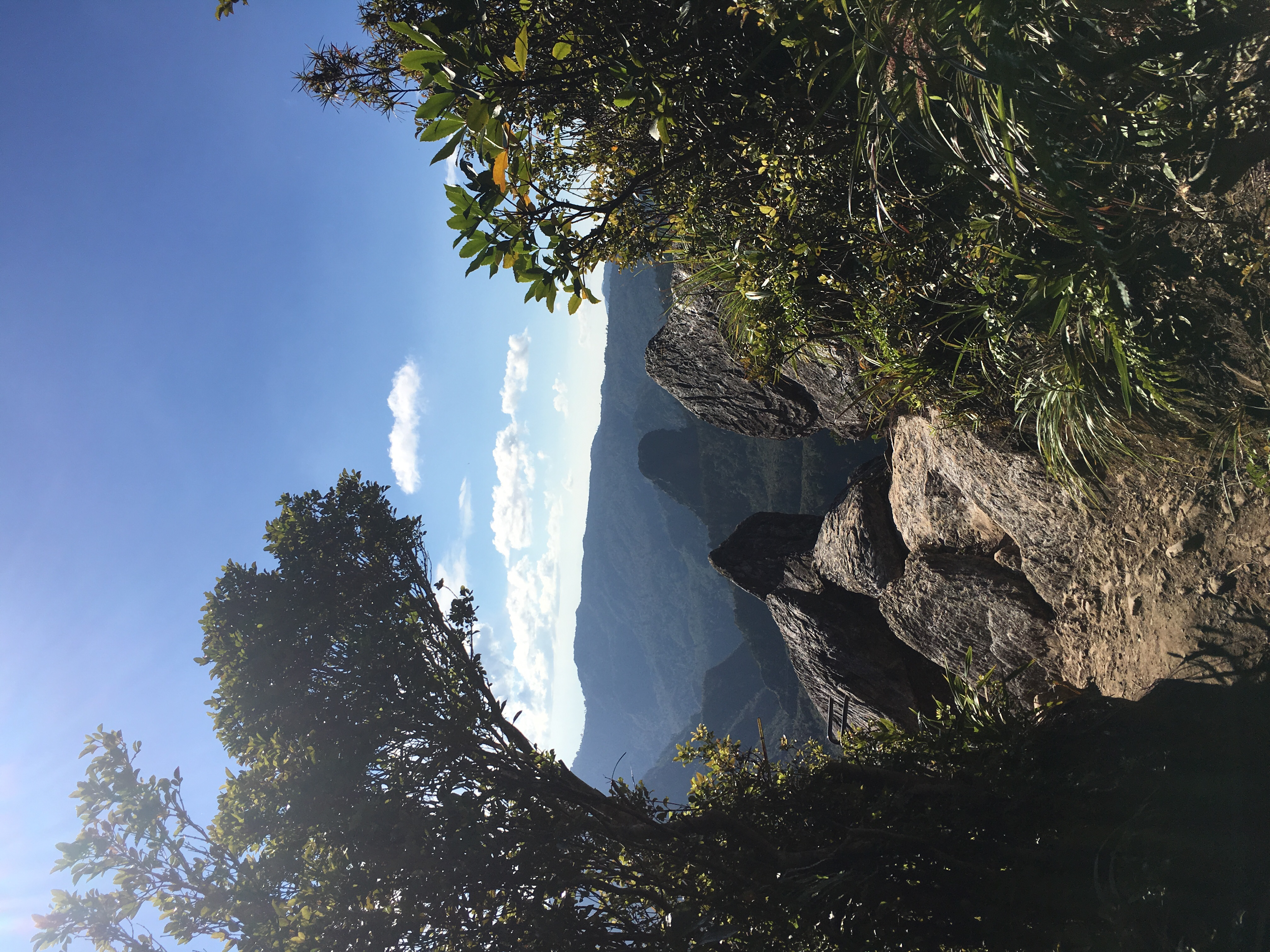 Hike the Kauaeranga Kauri Trail (Pinnacles Track)