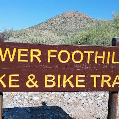 Hike the Lower and Upper Foothills Trails