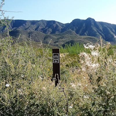 Hike the Lower and Upper Foothills Trails