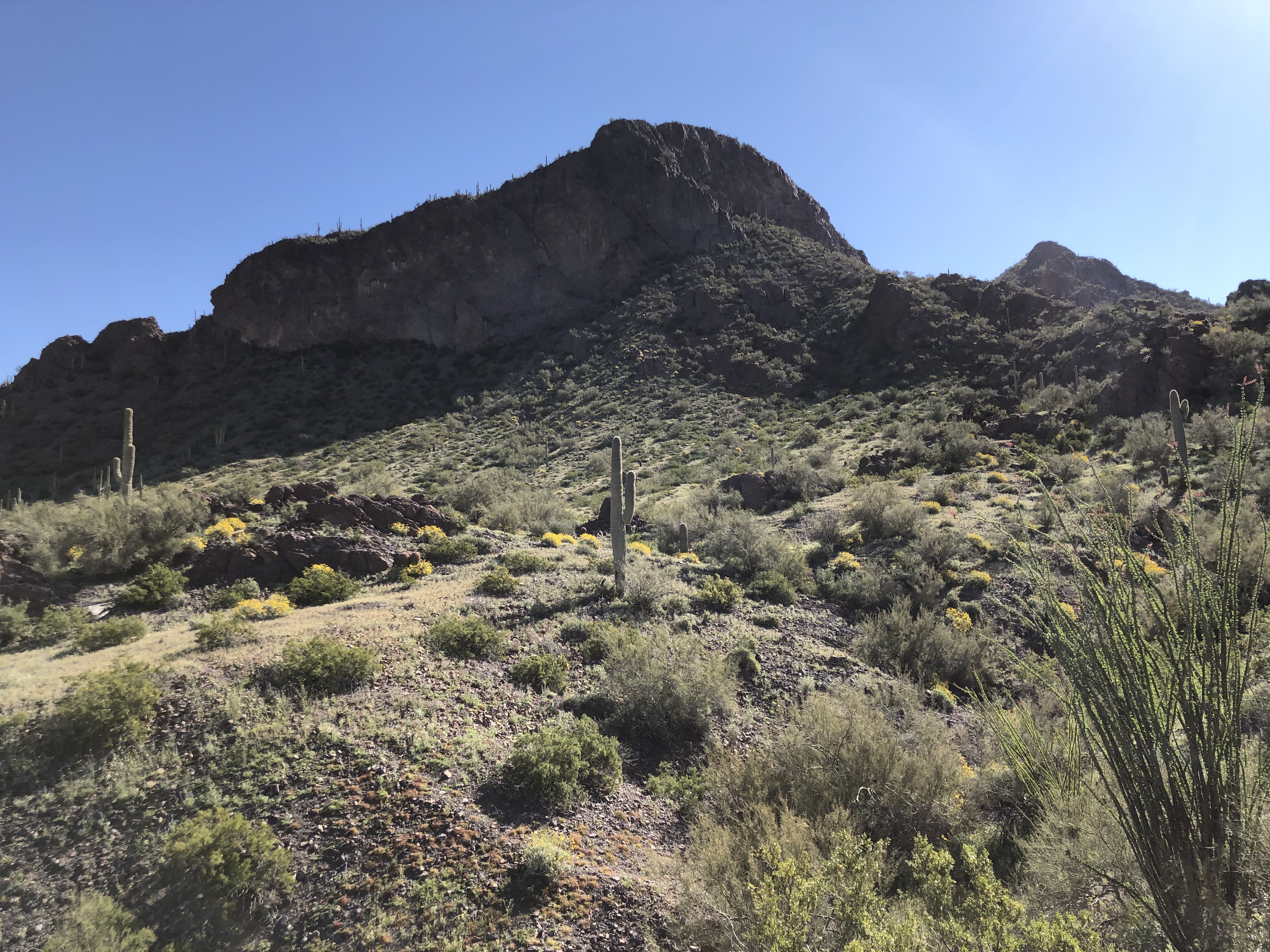 Picacho Peak's Hunter Trail 