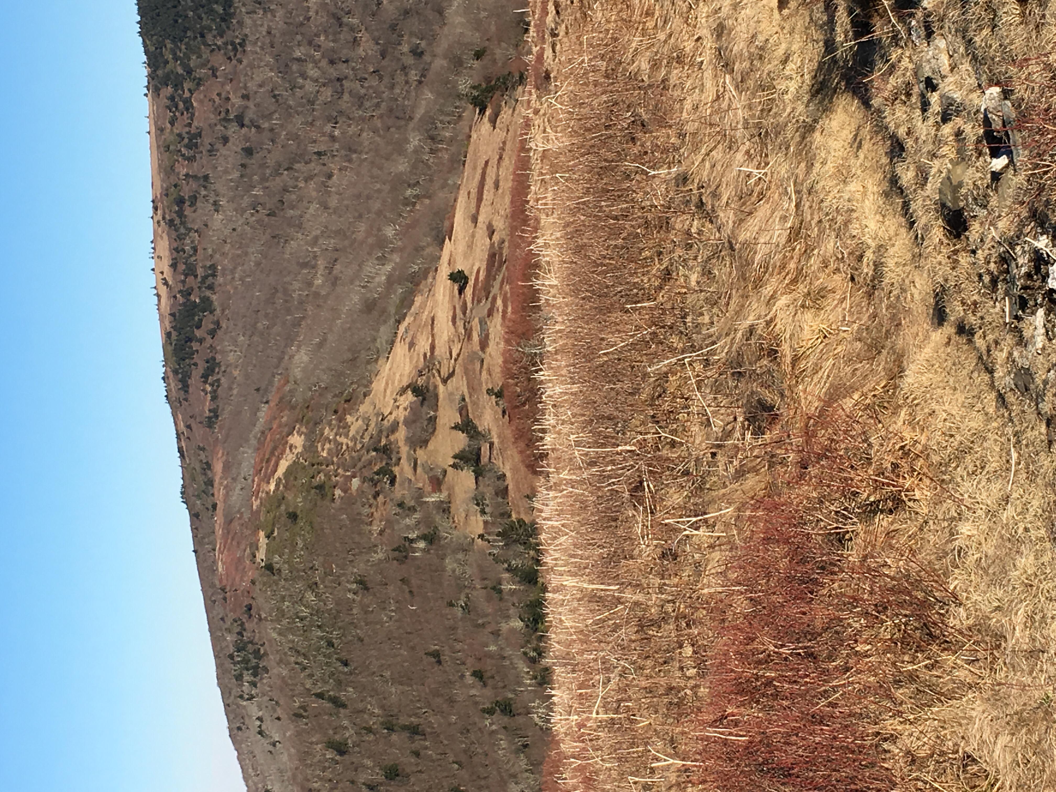 Jane Bald via Appalachian Trail