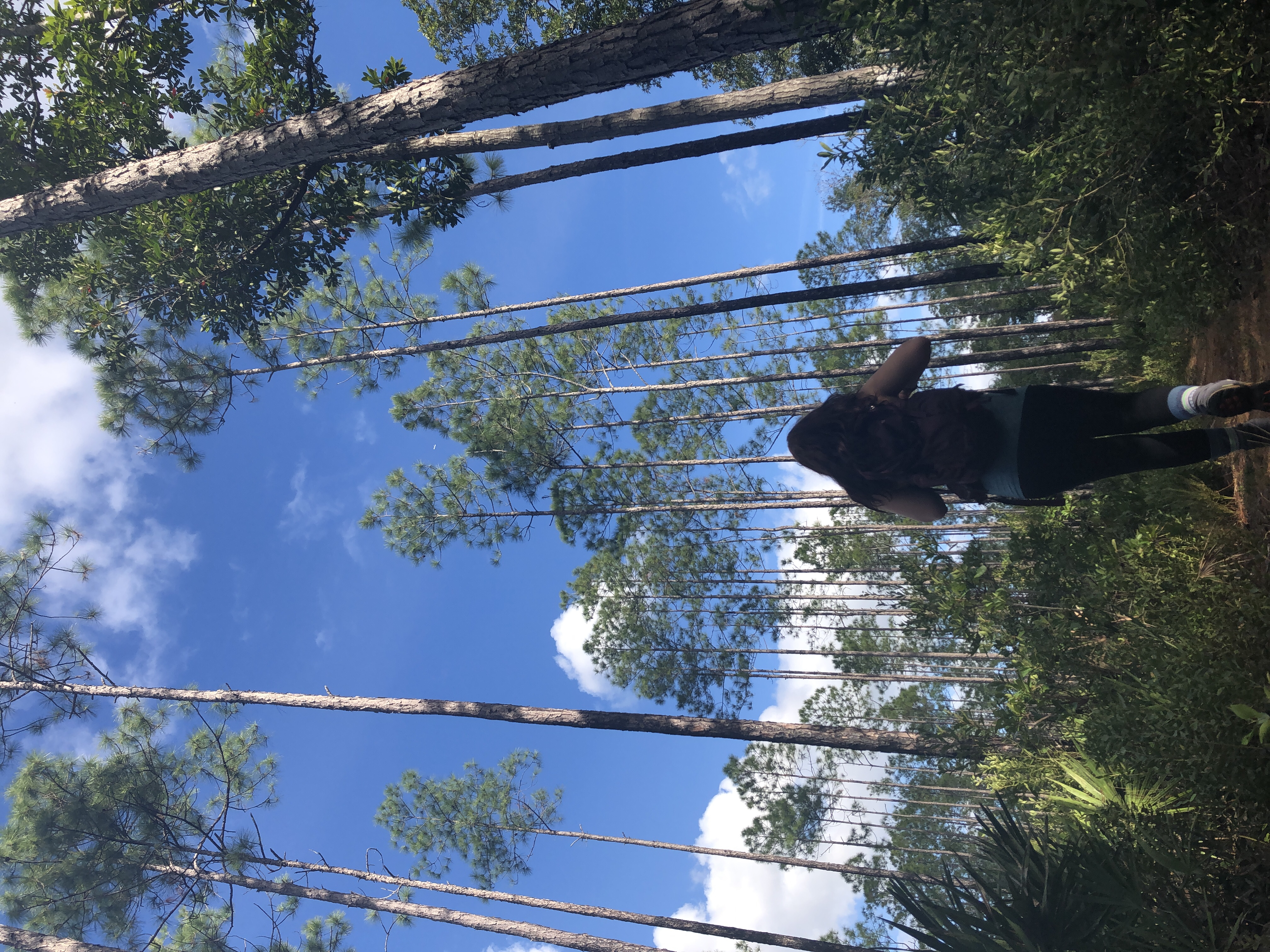 Hike the St. Francis Yellow Trail