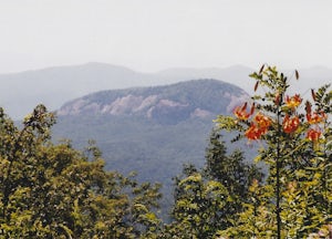 Drive the Forest Heritage National Scenic Byway