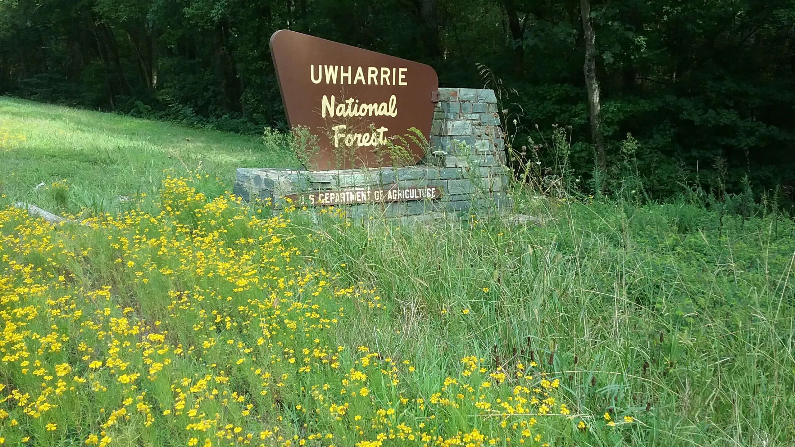Drive the Uwharrie Scenic Road