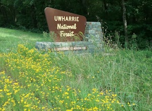 Drive the Uwharrie Scenic Road