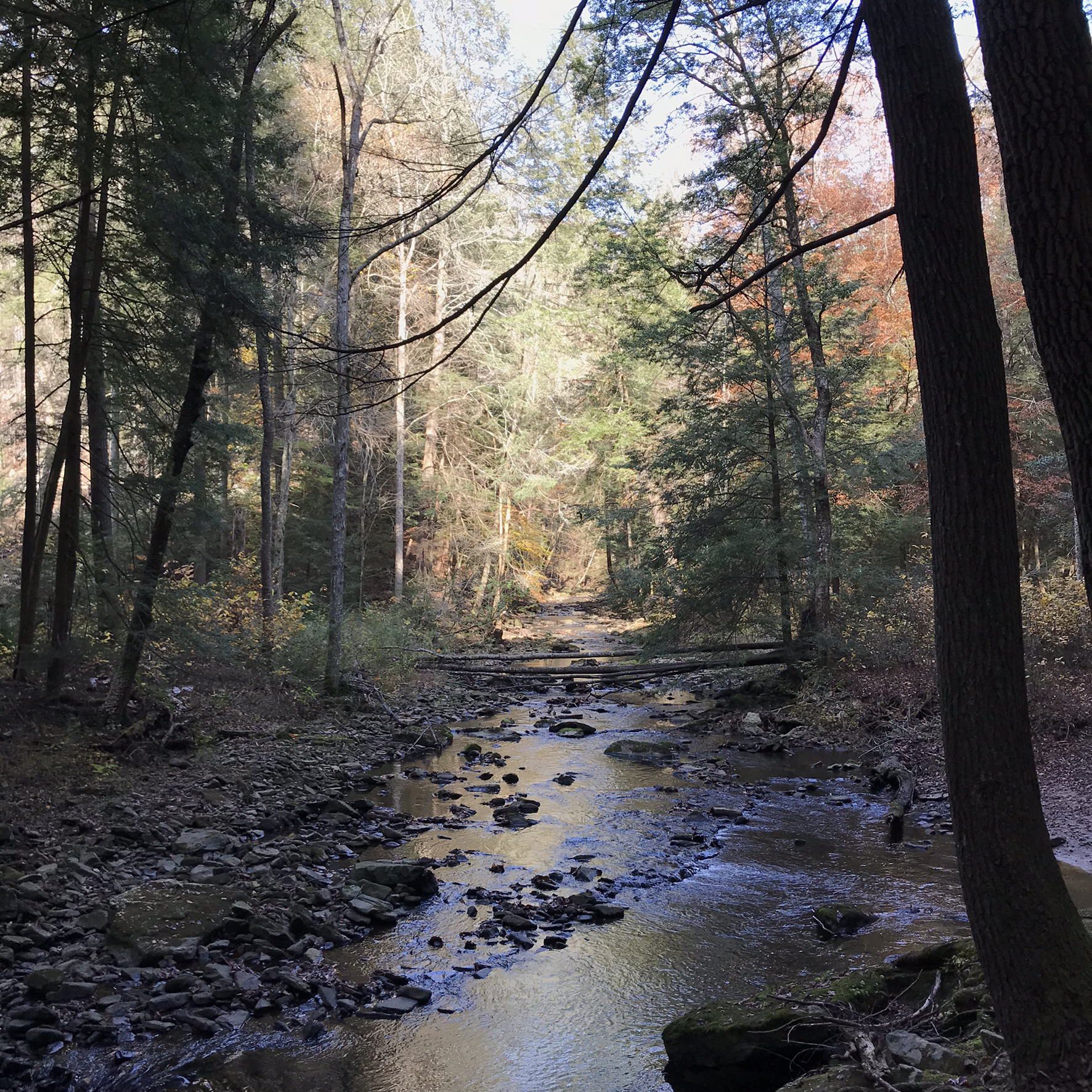 Hike the Fiery Gizzard Trail