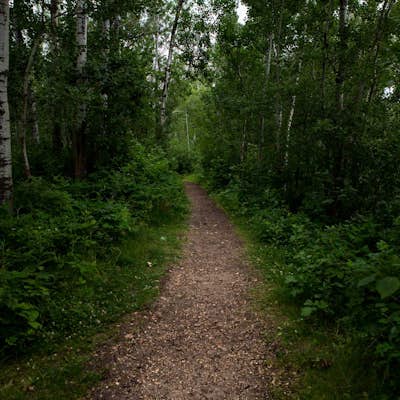 Hike Amisk Wuche Trail, Elk Island National Park