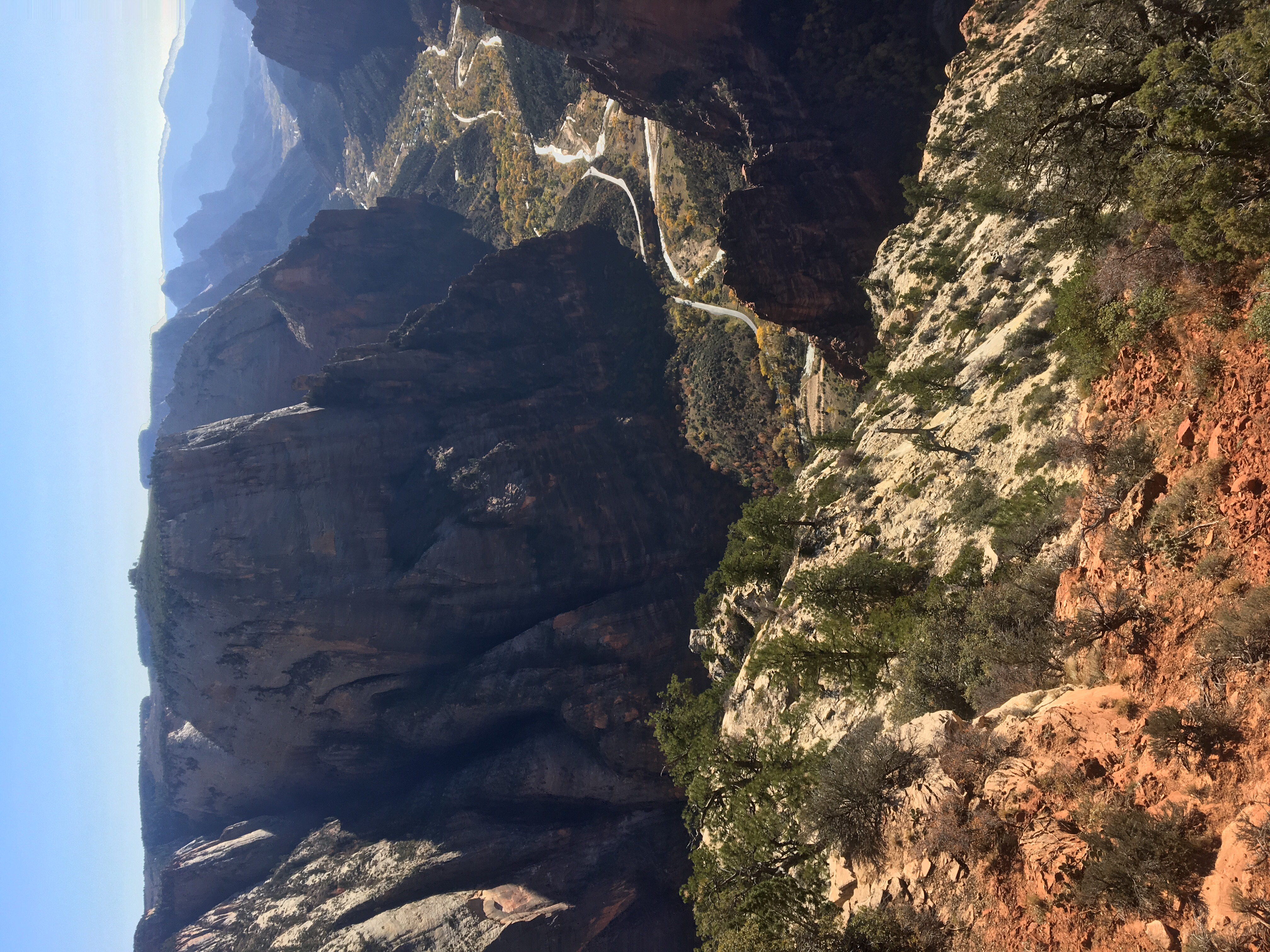 Hike Observation Point