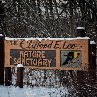 Hike Clifford E. Lee Nature Sanctuary