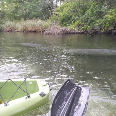 Paddle the Weeki Wachee River