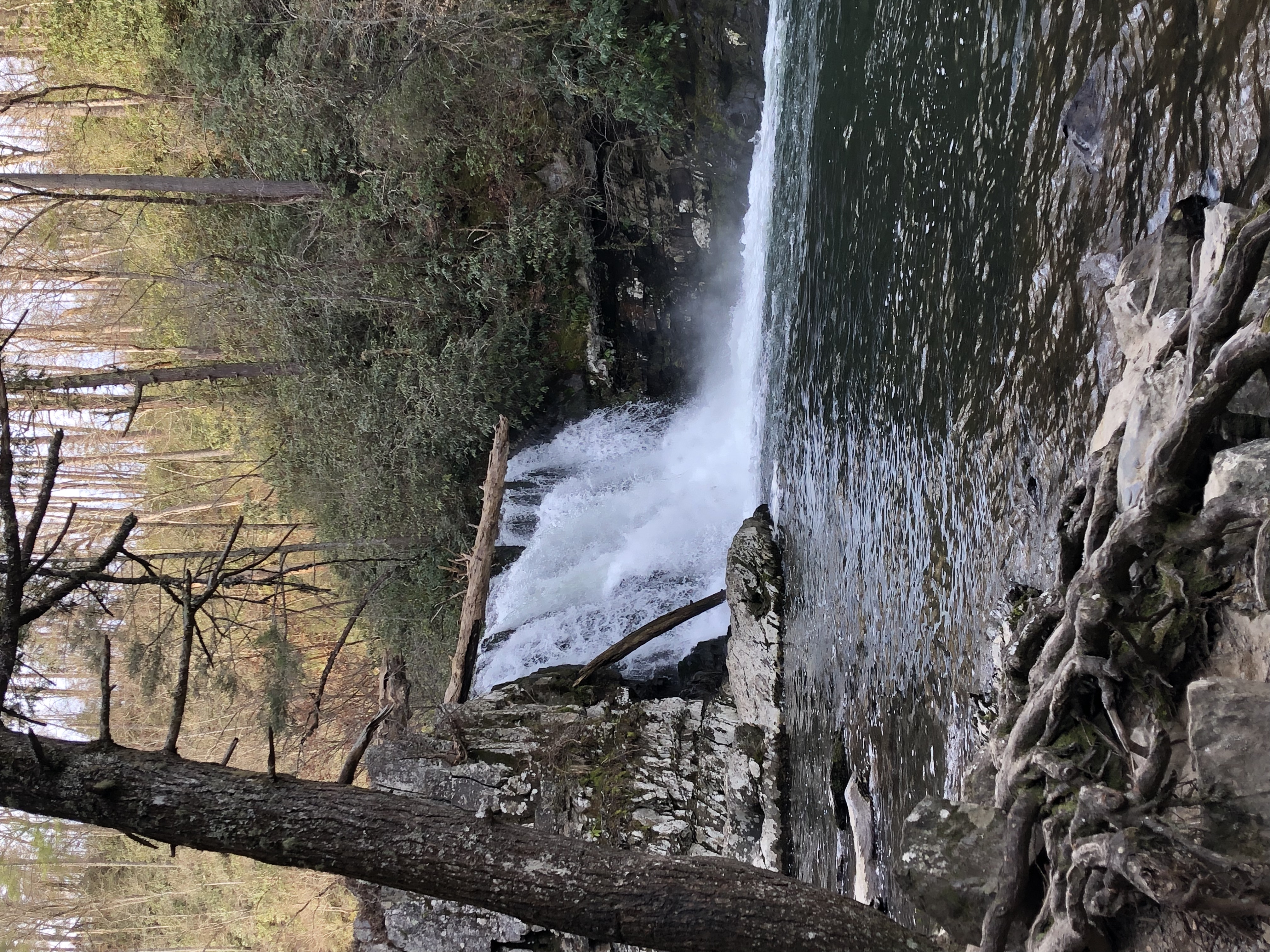 Abrams Falls Trail