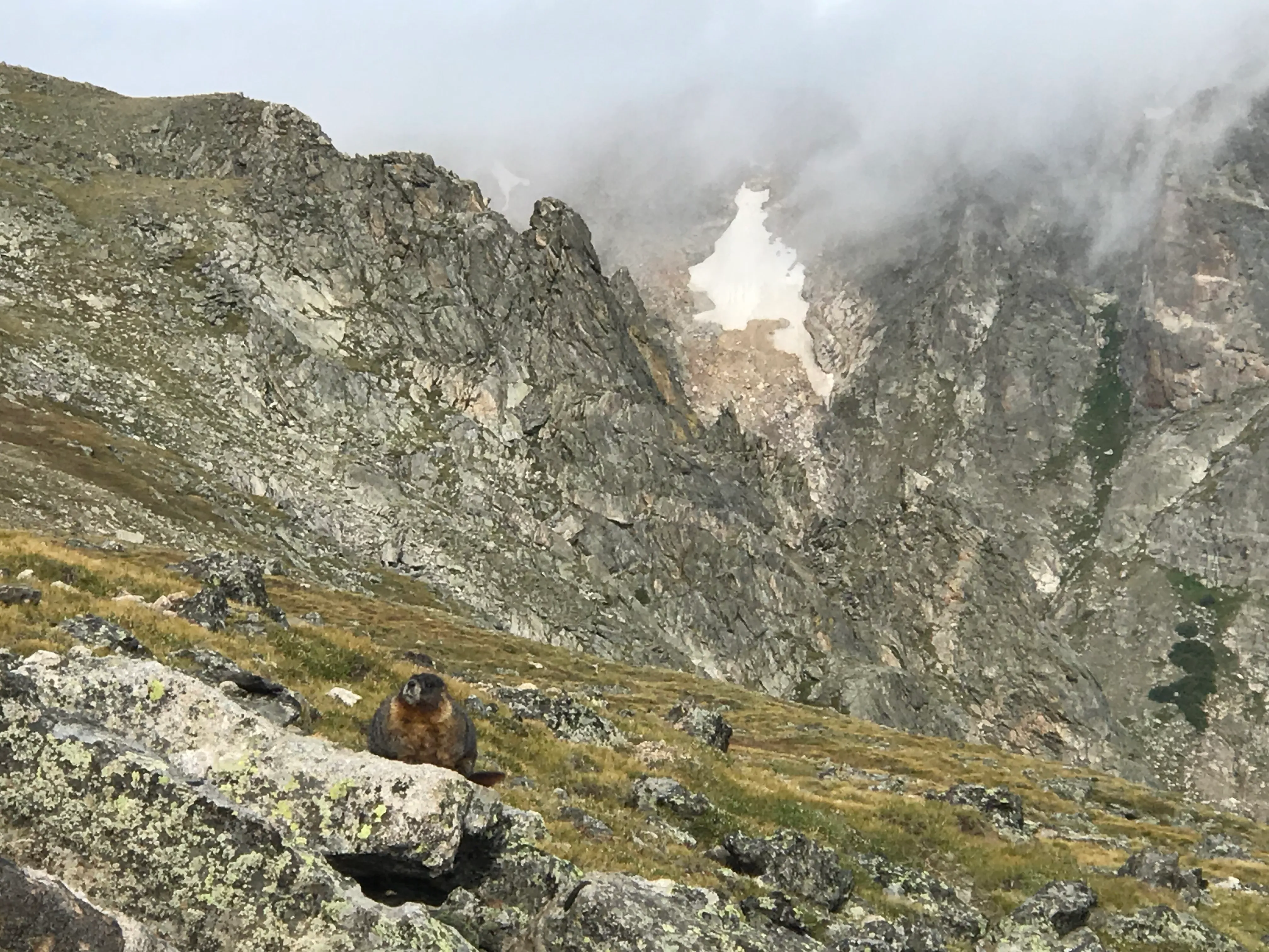 Flattop Mountain and Hallett Peak