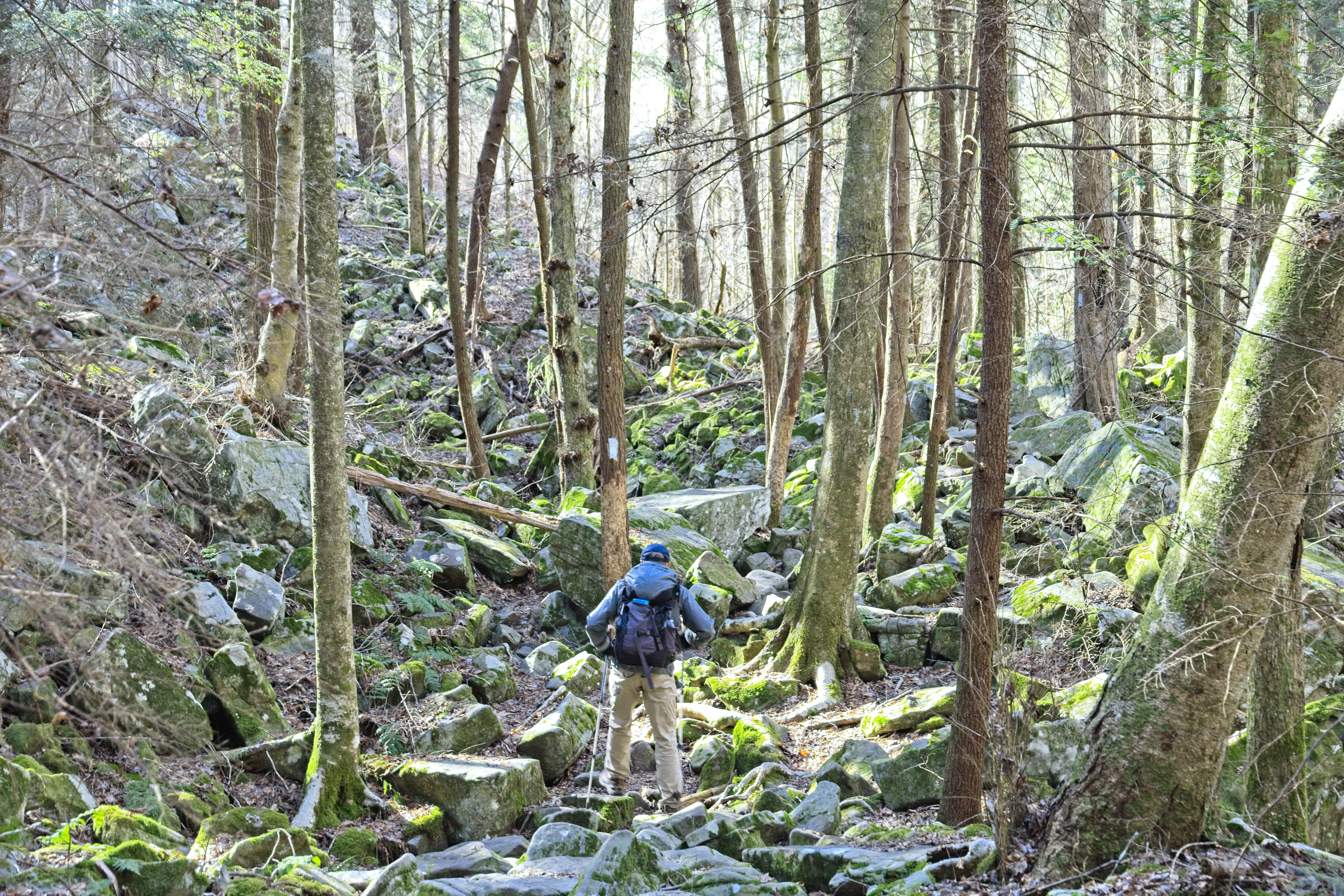 Hike the Fiery Gizzard Trail